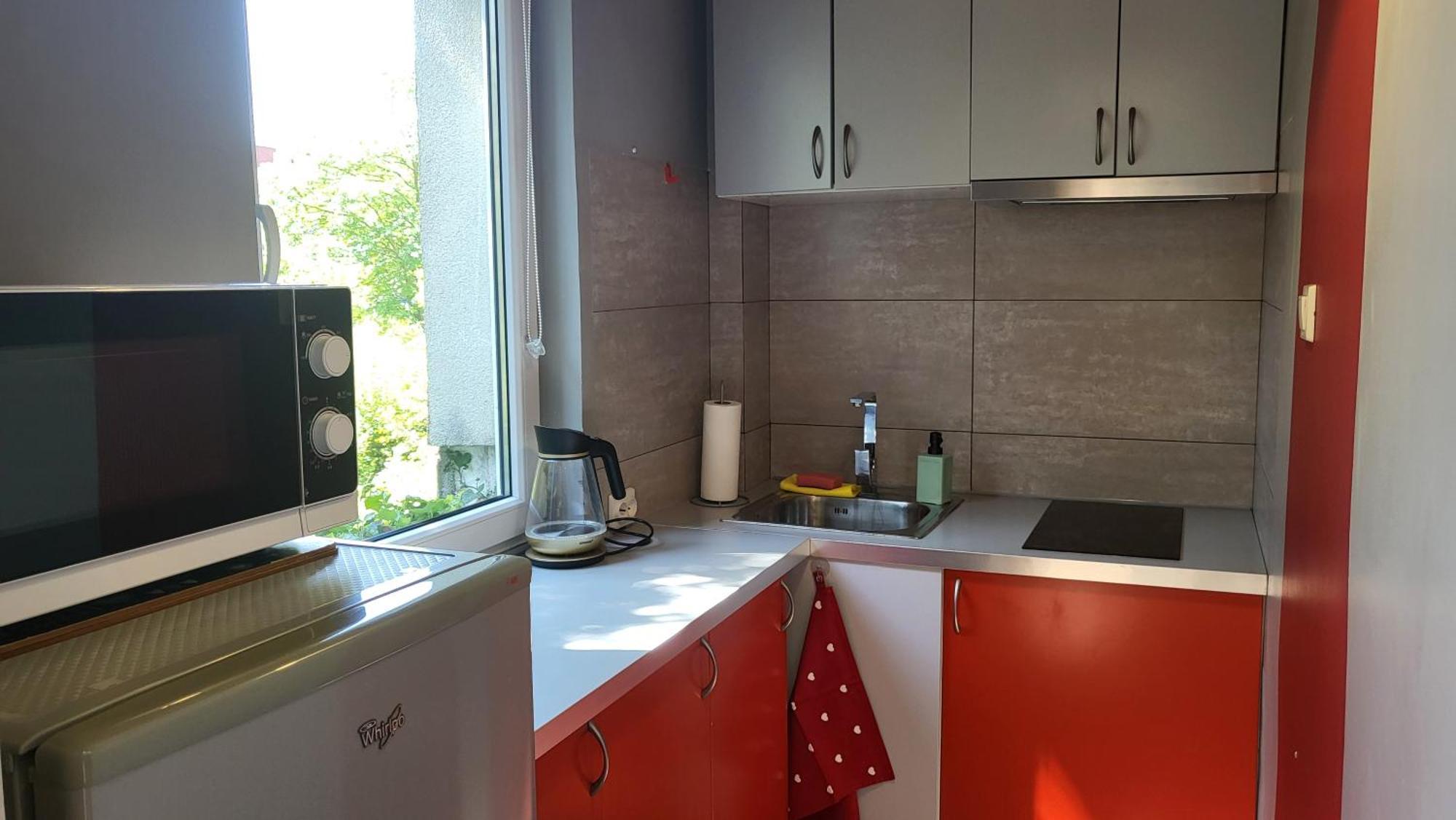 Studiospanie Studio Kapitana Z Balkonem Na Parterze Γκντανσκ Εξωτερικό φωτογραφία